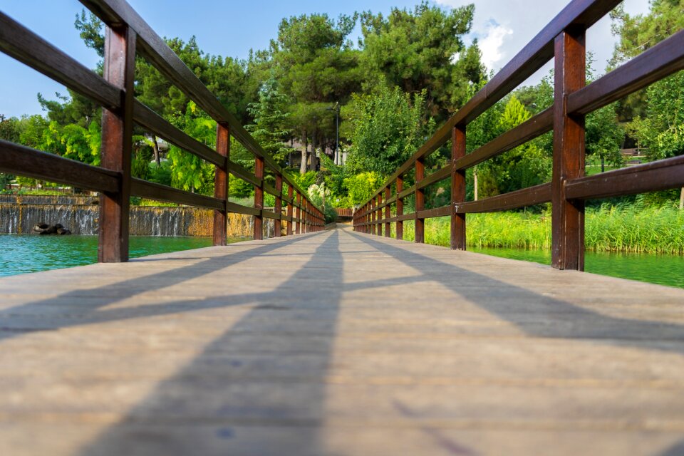 Nature brick forest