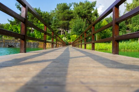 Nature brick forest