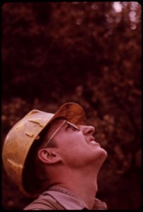 Pickering-forester-bill-snyder-decides-if-a-tree-is-still-viable-september-1973 7007041996 o