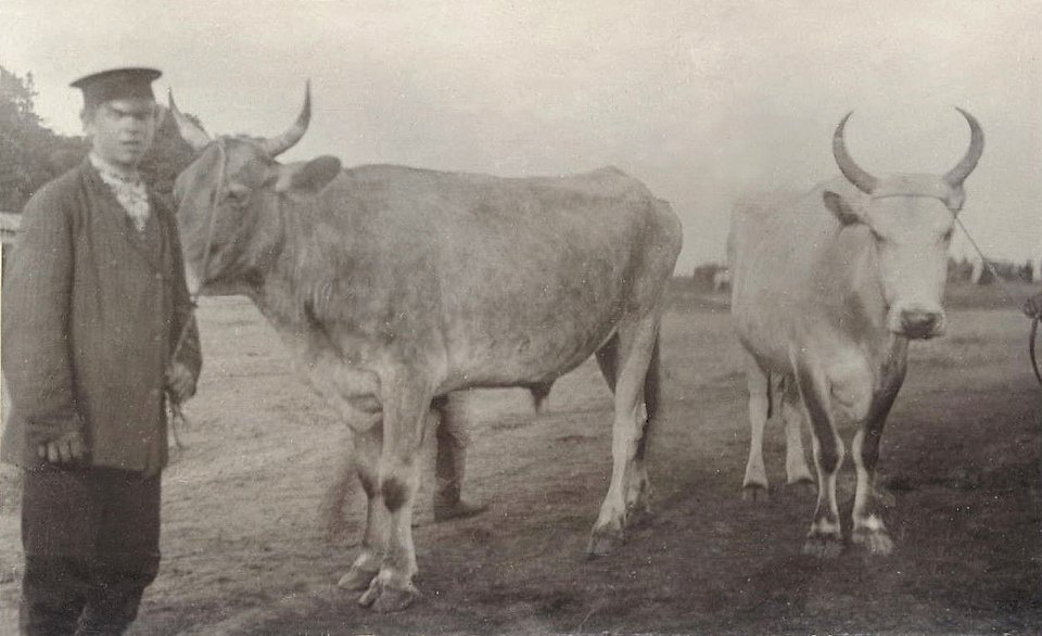 Pietrykaŭ, Kirmaš. Петрыкаў, Кірмаш (I. Sierbaŭ, 1912) (4)