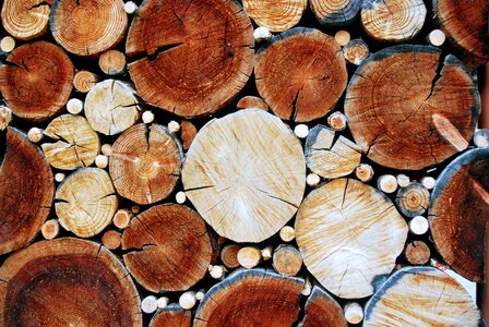 Pattern wood pile tree trunk photo