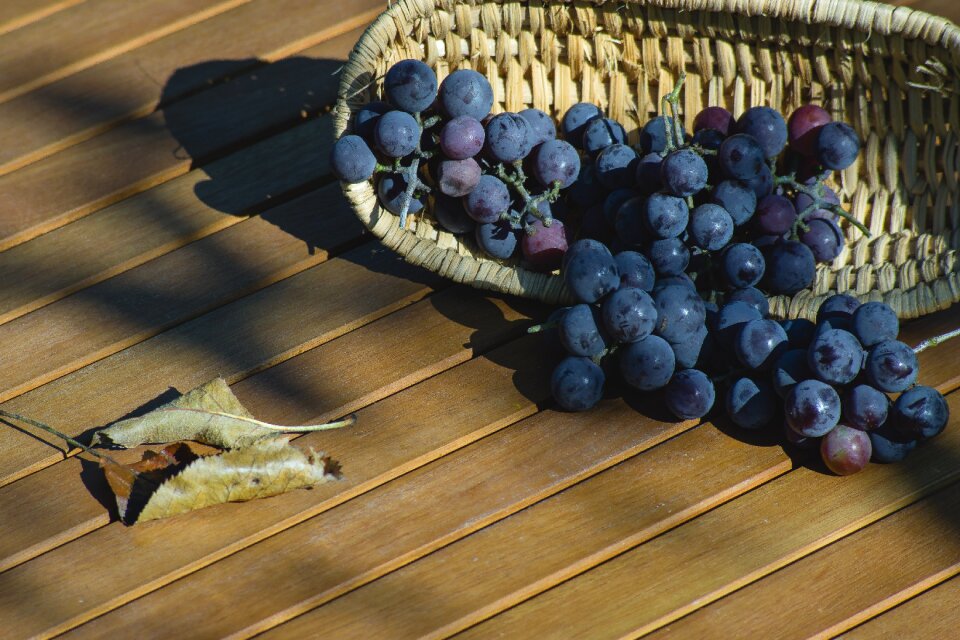Shopping cart fruit dining table