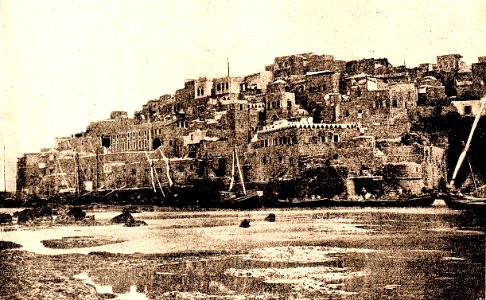 Pilgrimage to Palestine 11 (50)