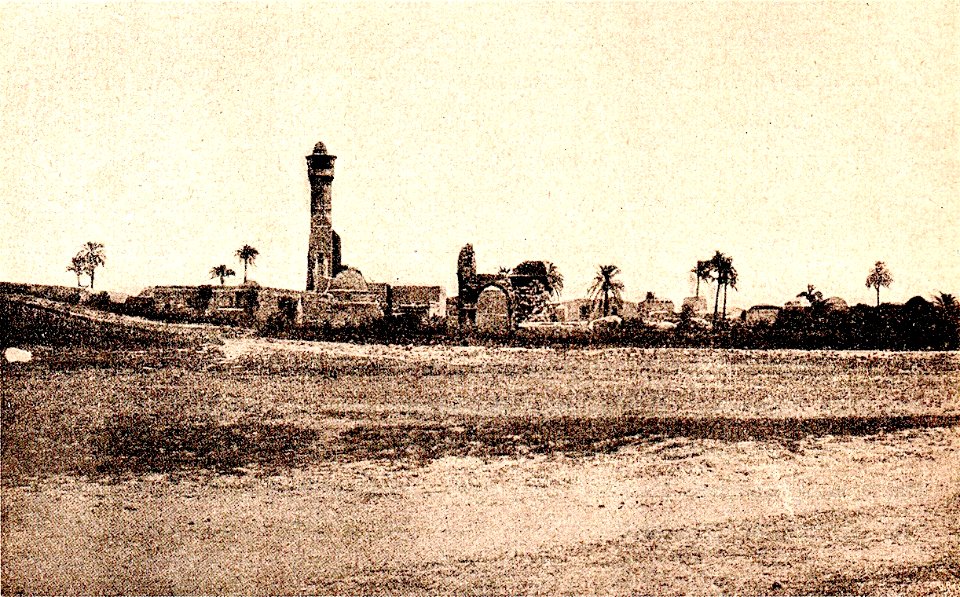 Pilgrimage to Palestine 12 (58)