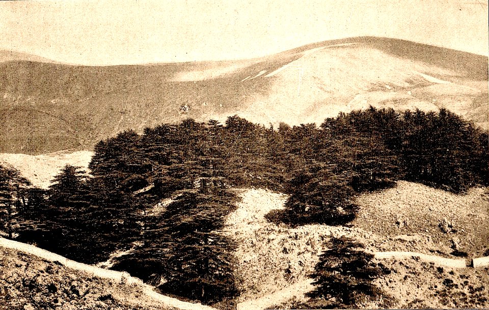Pilgrimage to Palestine 7 (31)