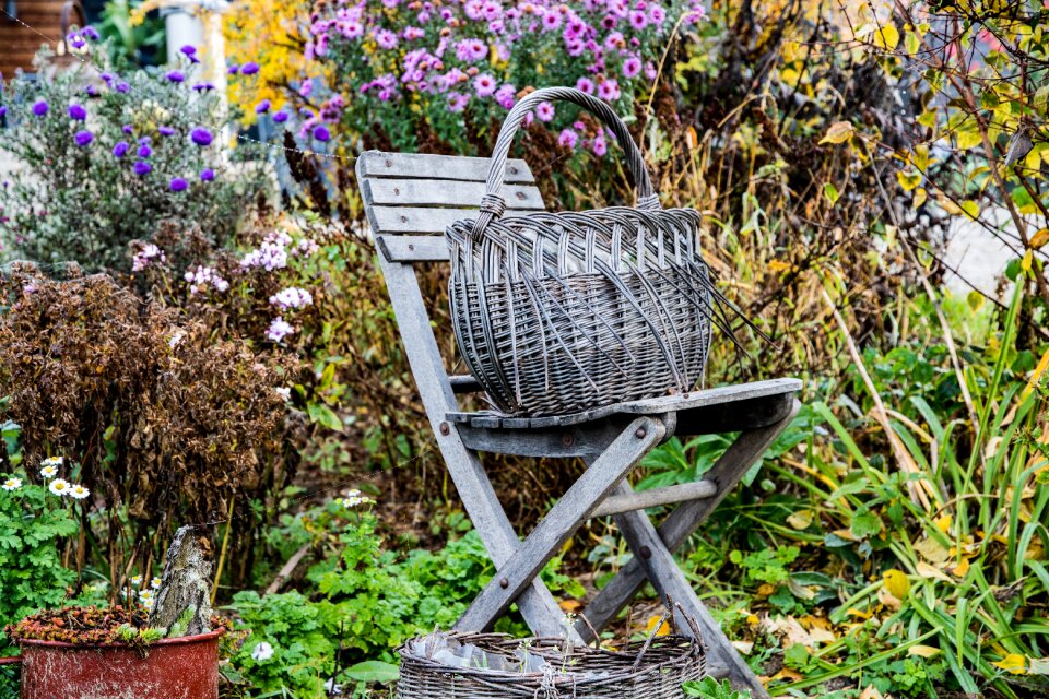 Weathered basket nature