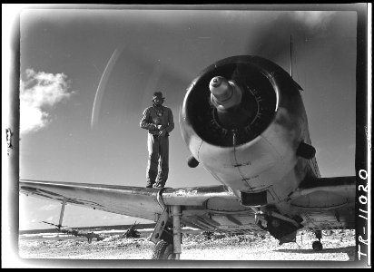Pilot of VMSV-231 at Majuro Island, Capt. John F. Adams, USMC on the wing of his plane. - NARA - 520718