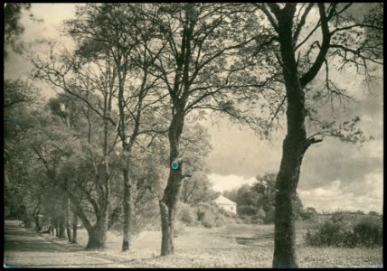 Pikieliški, Pisanka. Пікелішкі, Пісанка (J. Bułhak, 1931) (4)