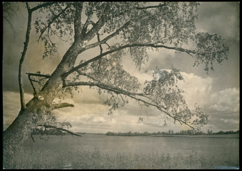 Pikieliški. Пікелішкі (J. Bułhak, 1934)