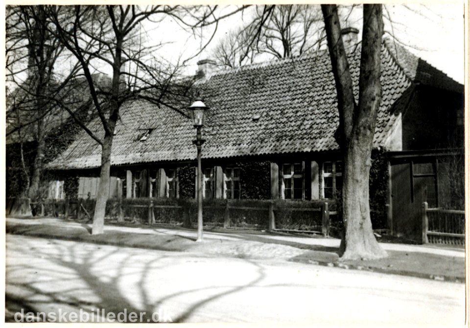 Pile Allé School