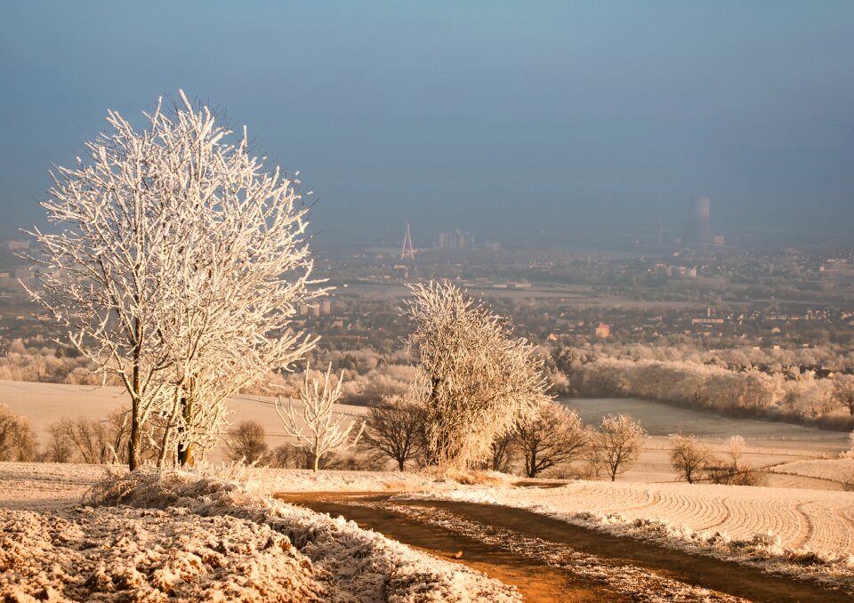 Frost nature abendstimmung