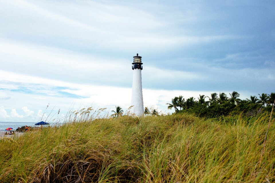 Plant lighthouse beach
