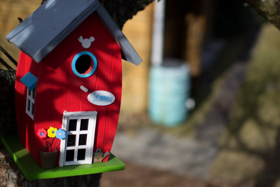 Home breed hatchery