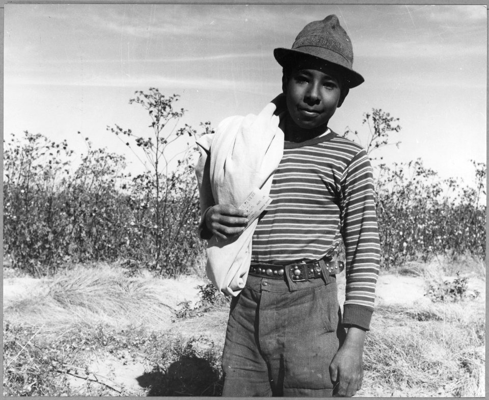Pinal County, Arizona. Mexican boy age 13, coming in from cotton field at noon. He picked 27 pounds . . . - NARA - 522044