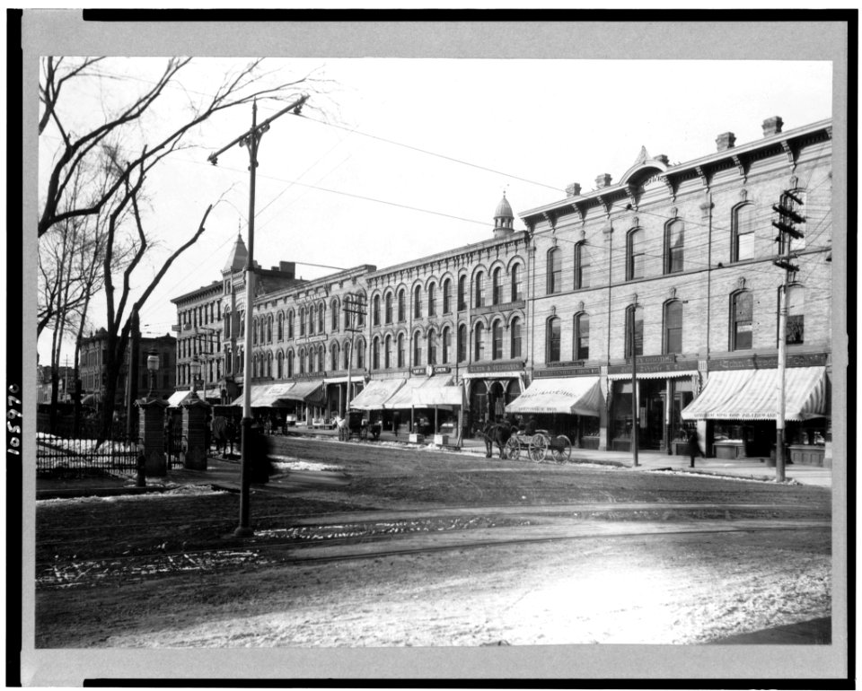 Pinckney St., Madison, Wisconsin LCCN93500418