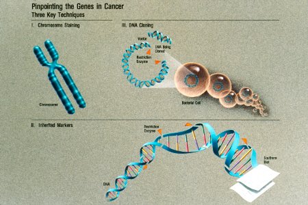 Pinpointing genes illustration