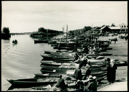 Pinsk, Nabiarežnaja. Пінск, Набярэжная (H. Poddębski, 1936)