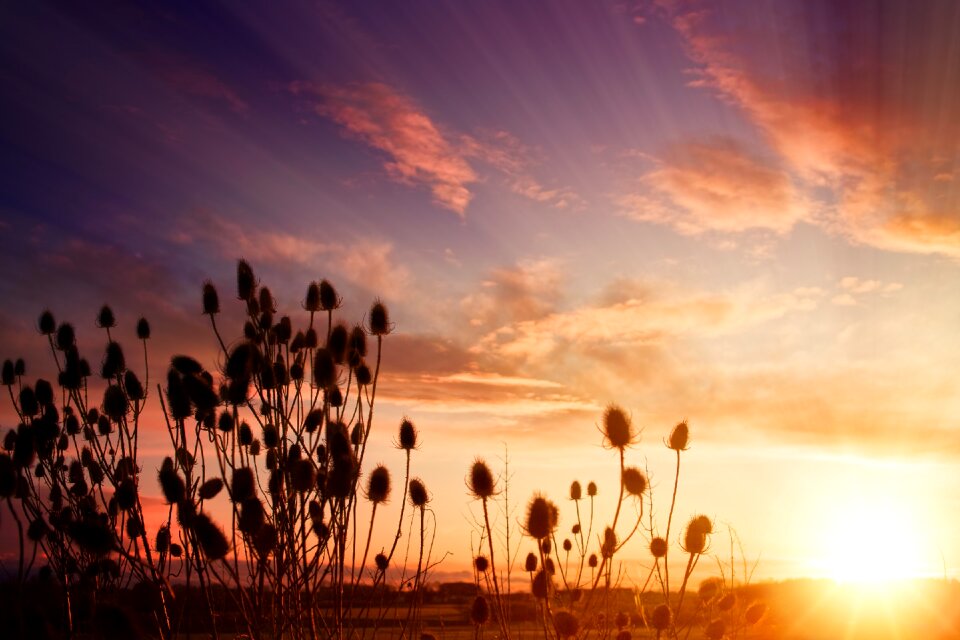 Sun sunbeam sky photo