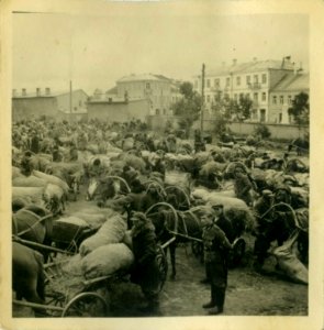 Pinsk, Stolinskaja-Vialikaja. Пінск, Столінская-Вялікая (1942) (2)