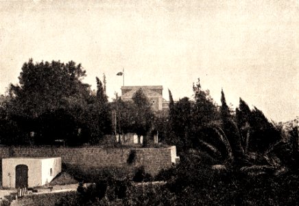 Pilgrimage to Palestine 11 (55)