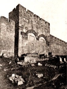 Pilgrimage to Palestine 15 (87)