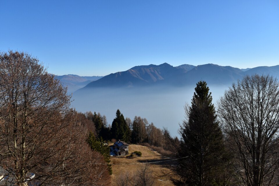 Landscape mountain trees