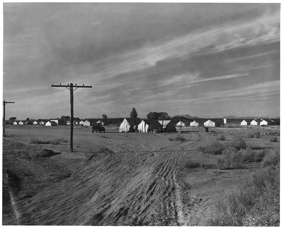 Pinal County, Arizona. Outskirts of Eloy. Grower's camp for cotton pickers. - NARA - 522381