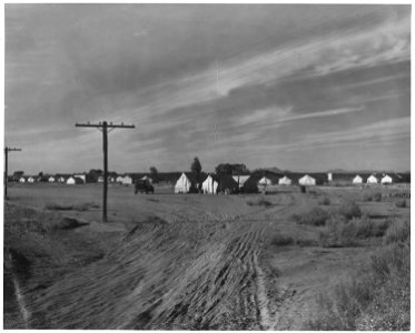 Pinal County, Arizona. Outskirts of Eloy. Grower's camp for cotton pickers. - NARA - 522381