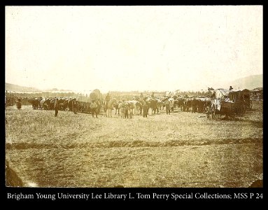 Pioneers and covered wagons photo