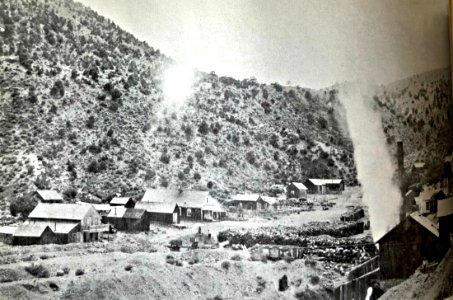 Pine grove nevada 1880