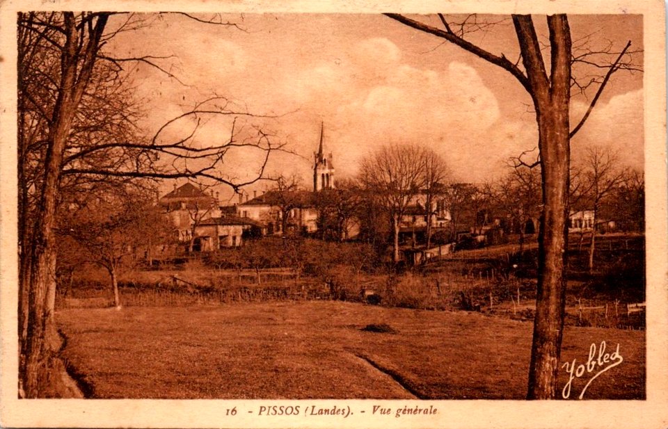 Pissos (Landes) - vue générale 1