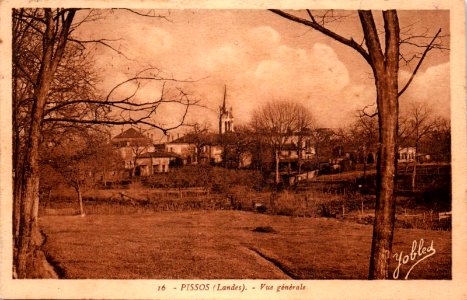Pissos (Landes) - vue générale 1