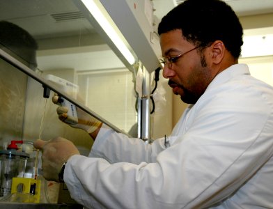 Pipetting activities photo