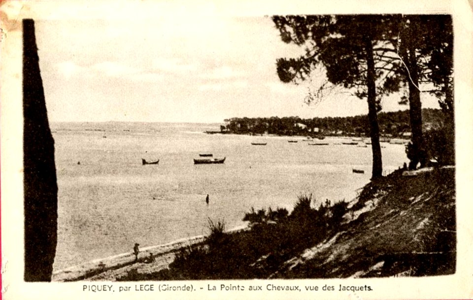 Piquey - La pointe aux chevaux