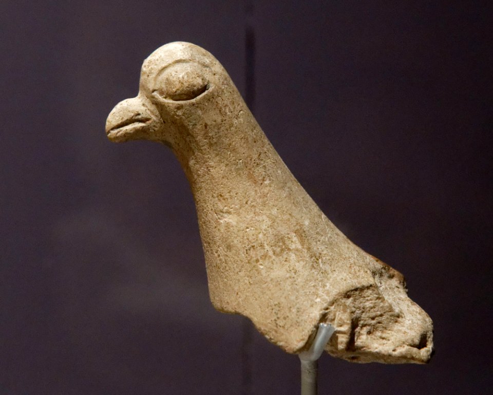 Pigeon prototype MAB a73