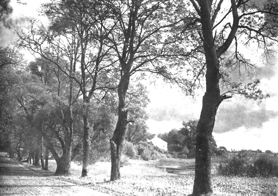Pikieliški, Pisanka. Пікелішкі, Пісанка (J. Bułhak, 1931) (3)