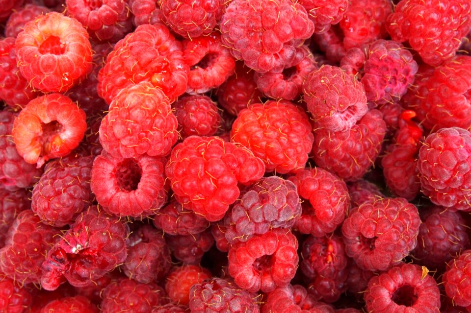 Dessert sweetness healthy
