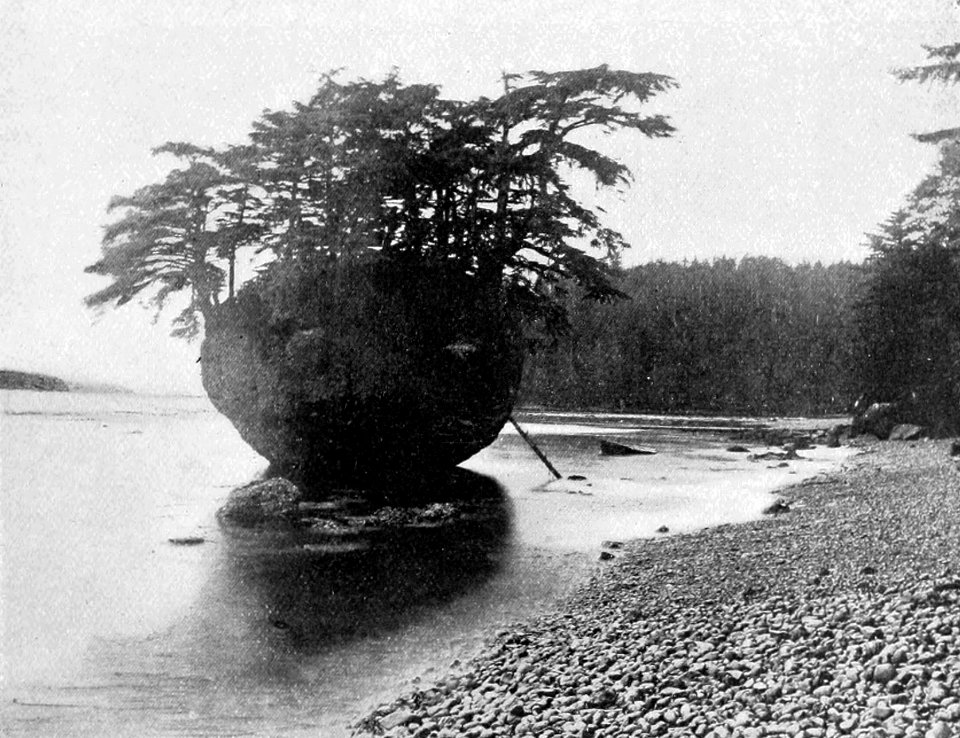 PSM V53 D183 Egg shaped rock containing the burial house of a haida shaman