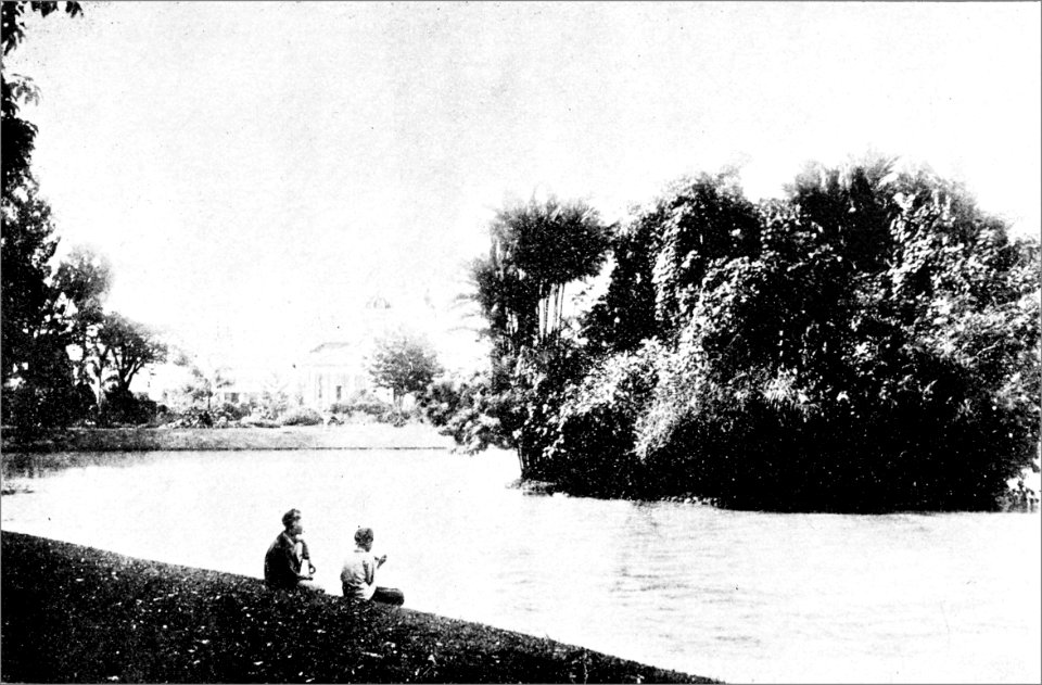PSM V50 D196 Buitzenborg java botanical garden lake