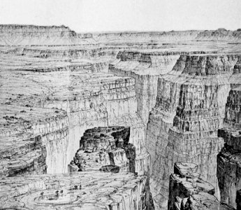 PSM V54 D490 Horizontal rocks of the colorado grand canyon