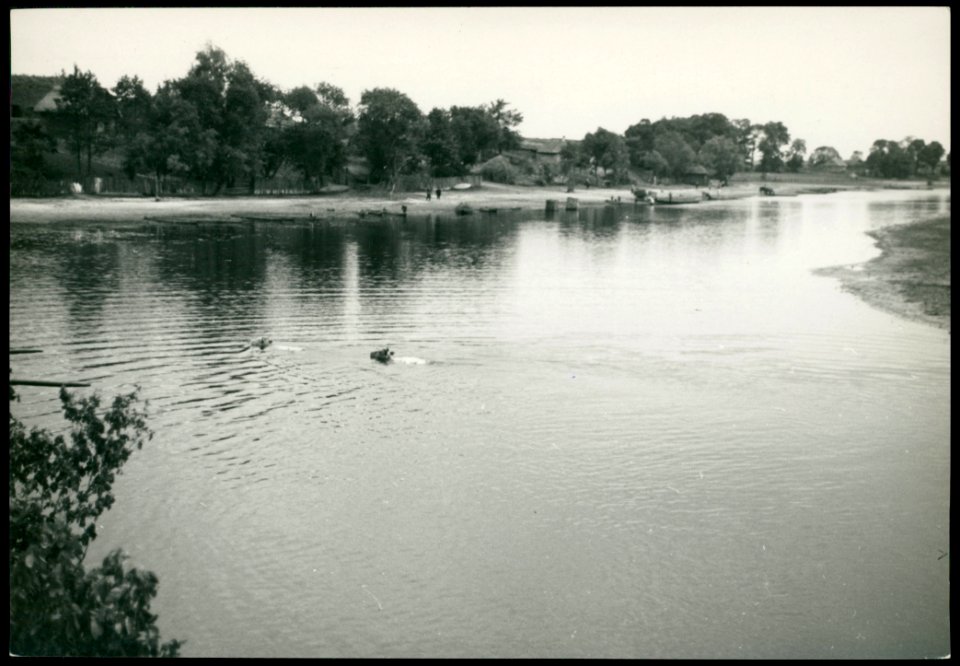 Pinkavičy, Pina. Пінкавічы, Піна (H. Poddębski, 1936) (2)