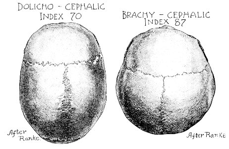 PSM V50 D598 Mesocephalic indexes of racial classification photo