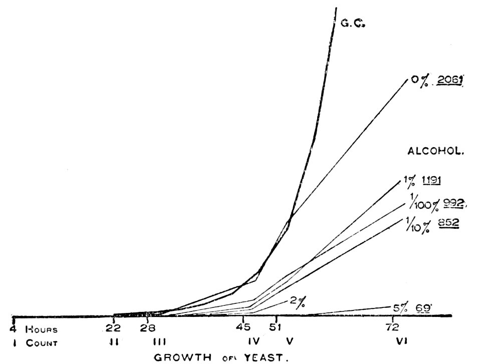 PSM V50 D618 Yeast growth progression in the first 24 hours