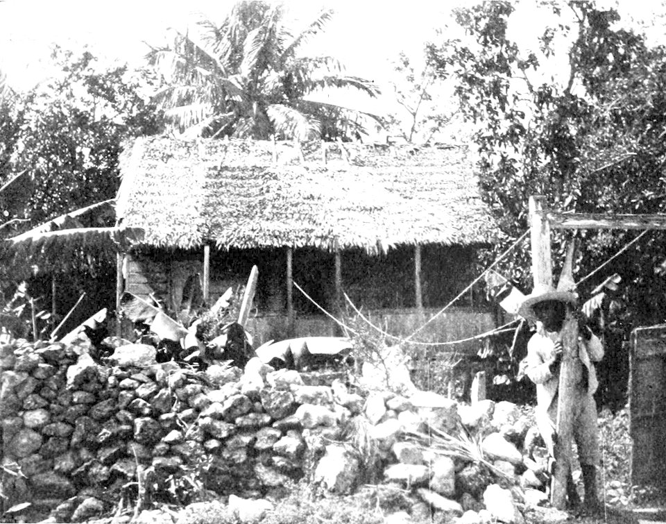 PSM V52 D805 Native huts grantstown
