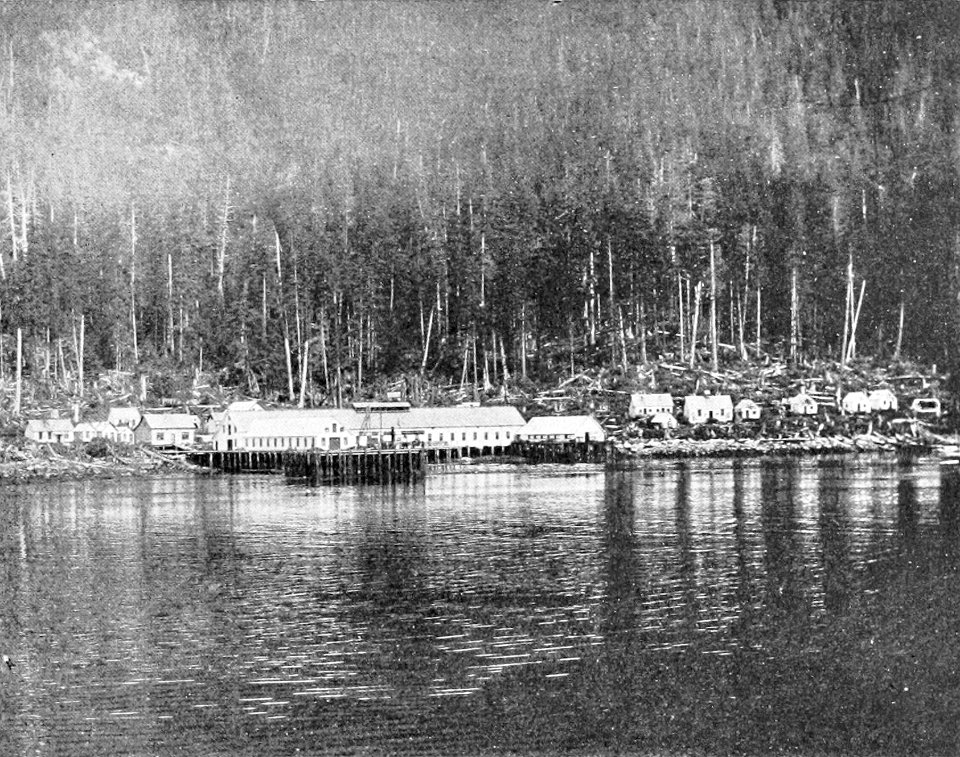 PSM V54 D199 Skeena river salmon cannery