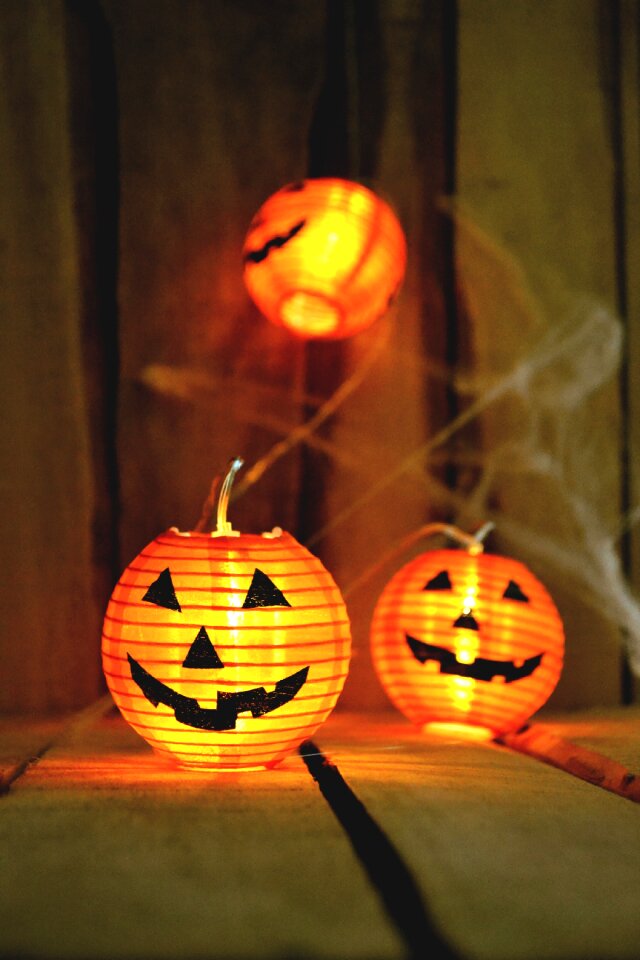 Light night web