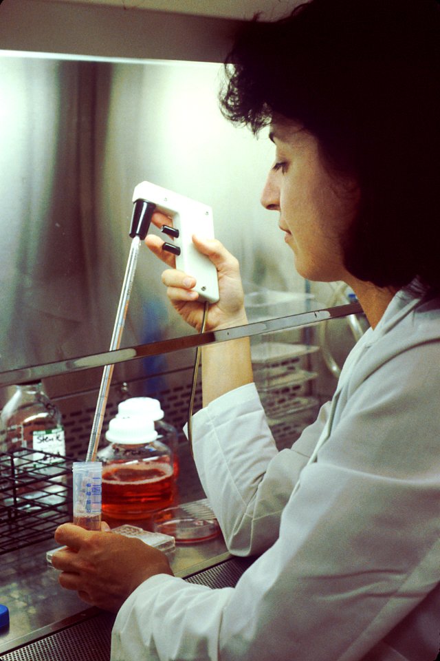 Pipetting culture medium