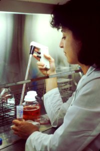 Pipetting culture medium photo