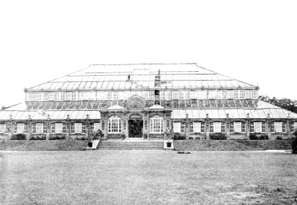 PSM V50 D192 Kew gardens temperate climate house