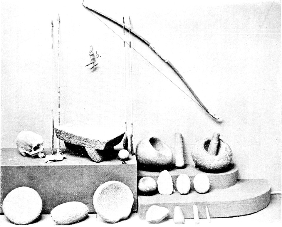 PSM V50 D220 Digger implements from the collection of dr jewett